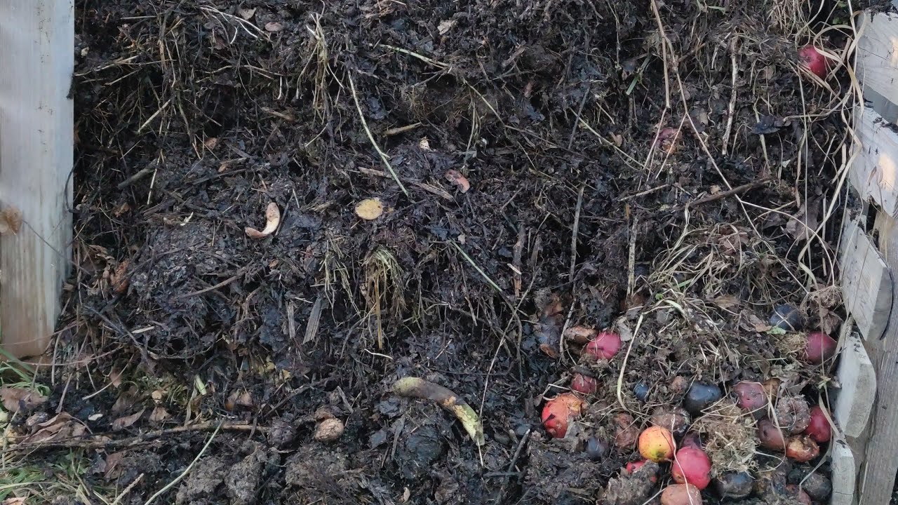 Jesienny kompost gotowy, czas przerzucić pryzmę i dodać materii.