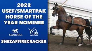 2022 USEF/SmartPak National Horse of the Year Nominee: Shezaffirecracker