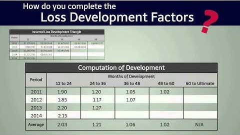 RISK66® Loss Development Triangles
