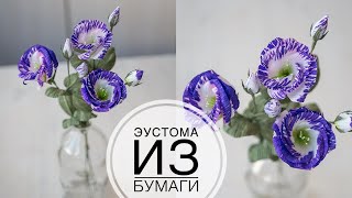 : Paper eustoma /     / DIY Tsvoric