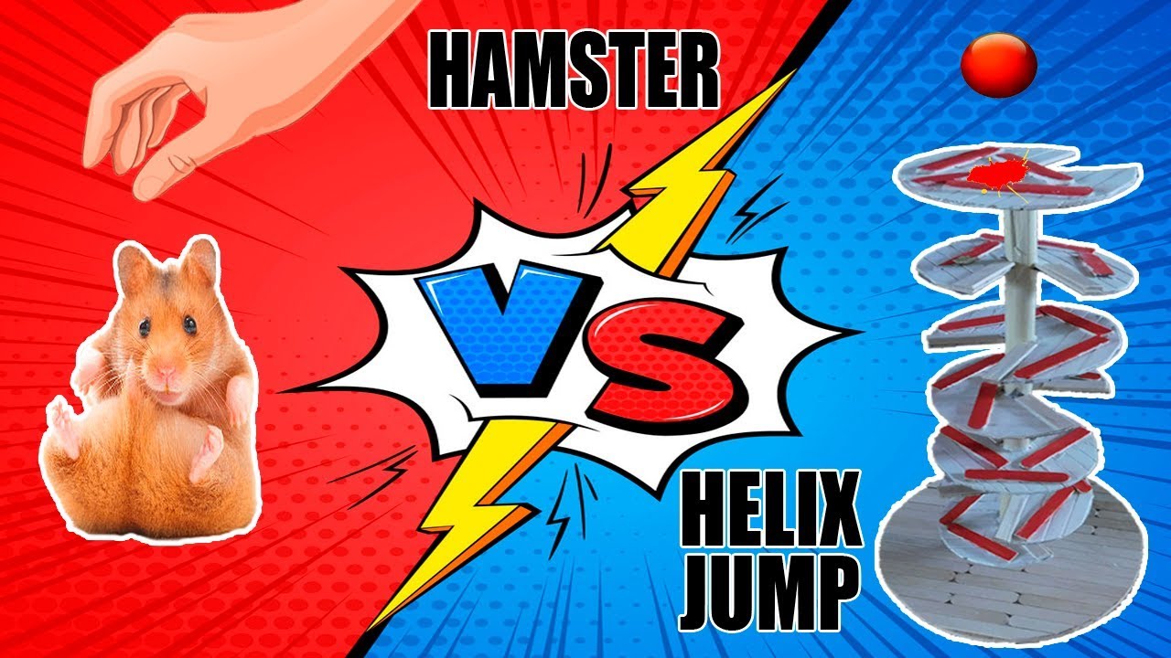 А4 против хомяка. Хомяки прыгают играя мелодию. Hamster Jumps. Hamster Jump animation Cycle.