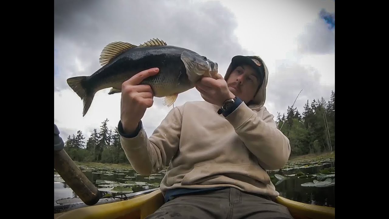 An Unreal Day Of Bass Fishing In The PNW!!