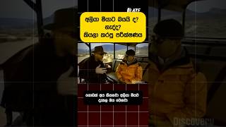 Why Elephants Fear Mice?