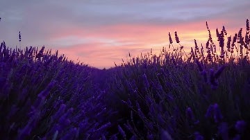 Turn Abandoned Carts into Sales: Tips for E commerce Success