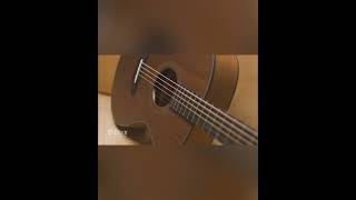 Breedlove Roots Series - All Mahogany Guitars @BreedloveGuitarCo