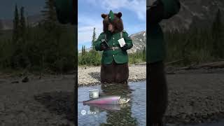 Медведь-пограничник проверяет документы у лосося 🐻🐟 #shorts #мем