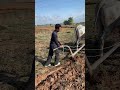 មានពុកម៉ែបងប្អូនណាខ្លះនៅគាំទ្រវីដេអូកម្រនេះ ខ្ញុំថតគ្រាន់តែចង់អោយកូនចៅជំនាន់ក្រោយបានស្គាល់…។