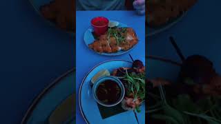 Lezzetli Başlangıçlar Tavuk Ve Salsa Sosu İncelemesi Şfet