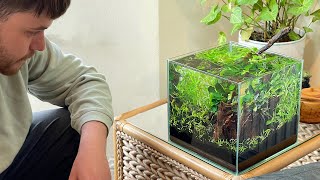 Simple LowTech Nano Aquascape Tutorial (No CO2  No Filter  No Heater)