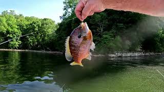 Catching a little of everything on Wheeler