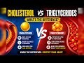 Cholesterol and Triglycerides Difference in Detail information 