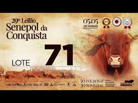 LOTE 71 CONQ 2651