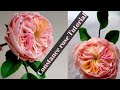 how to make Constance Rose from sugar paste.Watch step by step tutorial of edible rose, david austin