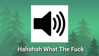 Sound Effect Dll - Hahahah What The Fuck