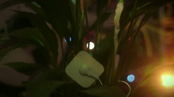 Felipe Ayres - Spathiphyllum (Modular Synth - Instruo Scion)