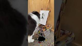 Myben Kadın Turuncu Renkli Büstiyerli Askılı Şortlu Kadın Pijama Takımı 362