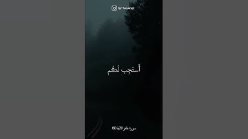تابعني أنا أنشر كل يوم آية 🤍✨ سورة غافر الآية 60 #سورة_غافر #قرآن #foryou #quran #مقاطع_دينية #fyp .