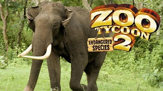 Zoo Ty 2 Endangered Species Part 2 Asian Elephant