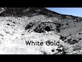 White Gold of the Desert