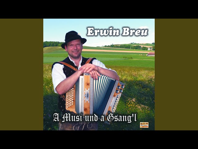 Erwin Breu - Der alte Schmied von Lerchenfeld