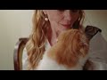 Cat Colors: Pros & Cons You Didn't Know