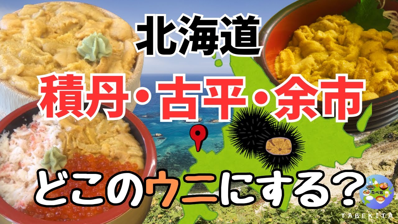 札幌グルメ】札幌近郊の三大生うに！地元民が食べ比べ！HOKKAIDO - YouTube