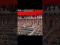 ⚙️ Wire mesh welding machine in full cycle: welding + automatic drop-off! #wiremesh #machine