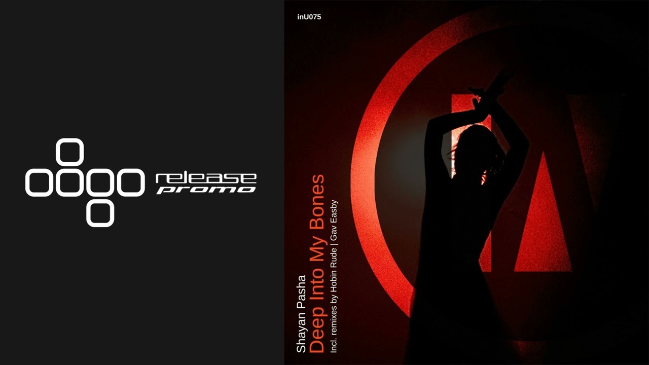 PREMIERE: Shayan Pasha - Deep Into My Bones (Hobin Rude Remix) [inU]