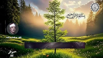 بسم الله الرحمن الرحيم   تلاوة ماتيسر من سورة الضحئ