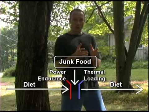 How I EAT JUNK FOOD, yet still BURN FAT and have abs!