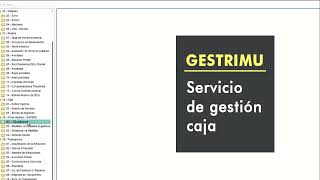 Software de Gestión Tributaria Municipal y Caja - SIAMsoft screenshot 2