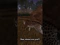 Smilodon's Life 🐅 | Ecos: La Brea | #shorts #roblox