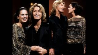 Watch Andy Gibb Dreamin On video