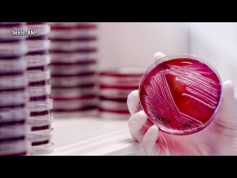 Video: De Opkomst Van Superbacteriën Is Een Wereldgezondheidsprobleem Geworden