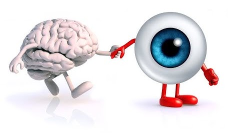 How to generate Report of Iris Analysis  | Demo Video | Tutorial Video