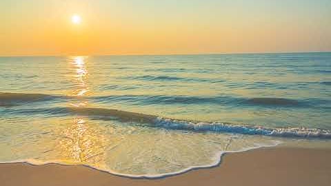 تلاوة من سورة القصص للقارئ الشيخ توفيق محمد علي منزل حيان