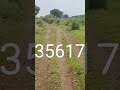 land for sale agriculture farm