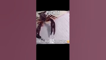 LOBSTA DOIN DA HOMEWORK