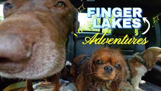Finger Lakes Adventures