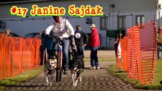 2015 Cant depend on snow 2 dog Bikejoring
