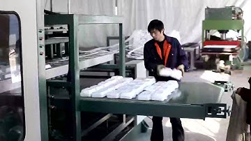 PS GPPS Foam food box machine/PS food container machinery manufacture