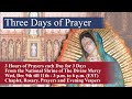 Dec 9th - 3 Days of Prayers (Dec 9 - 11) — Chaplet, Adoration, and Rosary