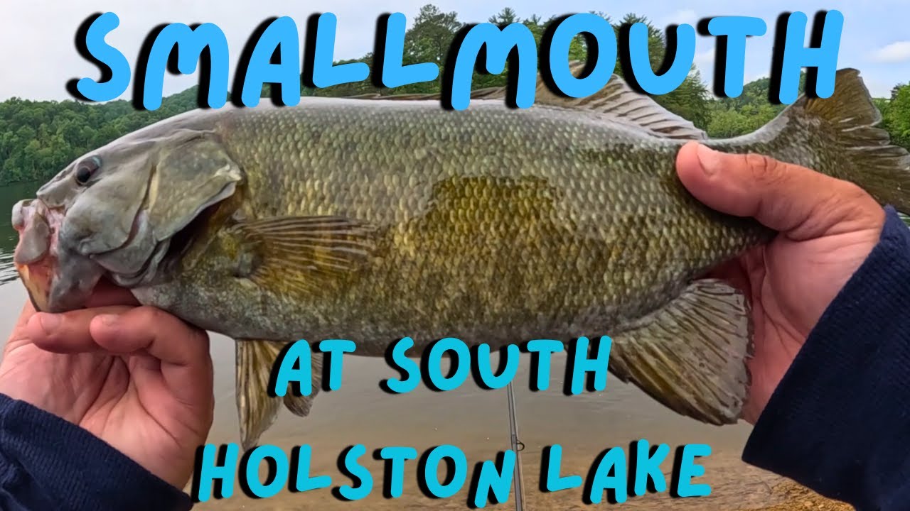 Smallmouth Fishing at South Holston Lake