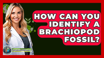 How Can You Identify A Brachiopod Fossil? - Earth Science Answers