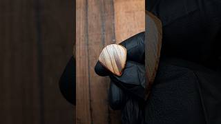 Zebrawood Jazziii Ergoz Completed guitarpick luthier plectrum handcrafted exoticwood wooden