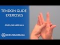 Tendon Glide Exercises | Ability Rehabilitation