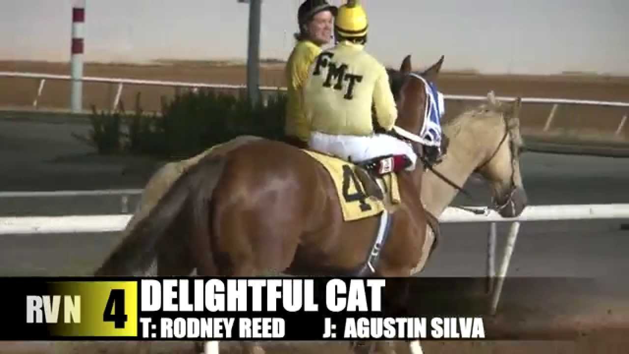 Speedhorse Futurity & Derby Recap YouTube