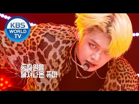 TOMORROW X TOGETHER PUMA 동물원을 빠져나온 퓨마 Music Bank 2020 06 05