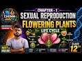 Sexual Reproduction in Flowering Plants 🌸 | Life Cycle Full Chapter 🔥 Class 12 Biology | NEET 2026