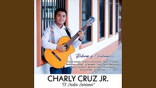 Video thumbnail of "Charly Cruz Jr. - Chilena a San Nicolás"